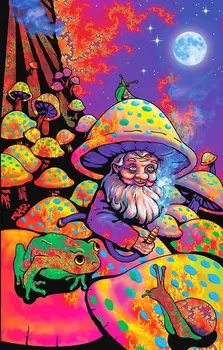 Психоделический Король грибов, Волшебный Триппи, Заводной шелковый плакат в стиле хиппи, наклейка на стену, украшение, подарок